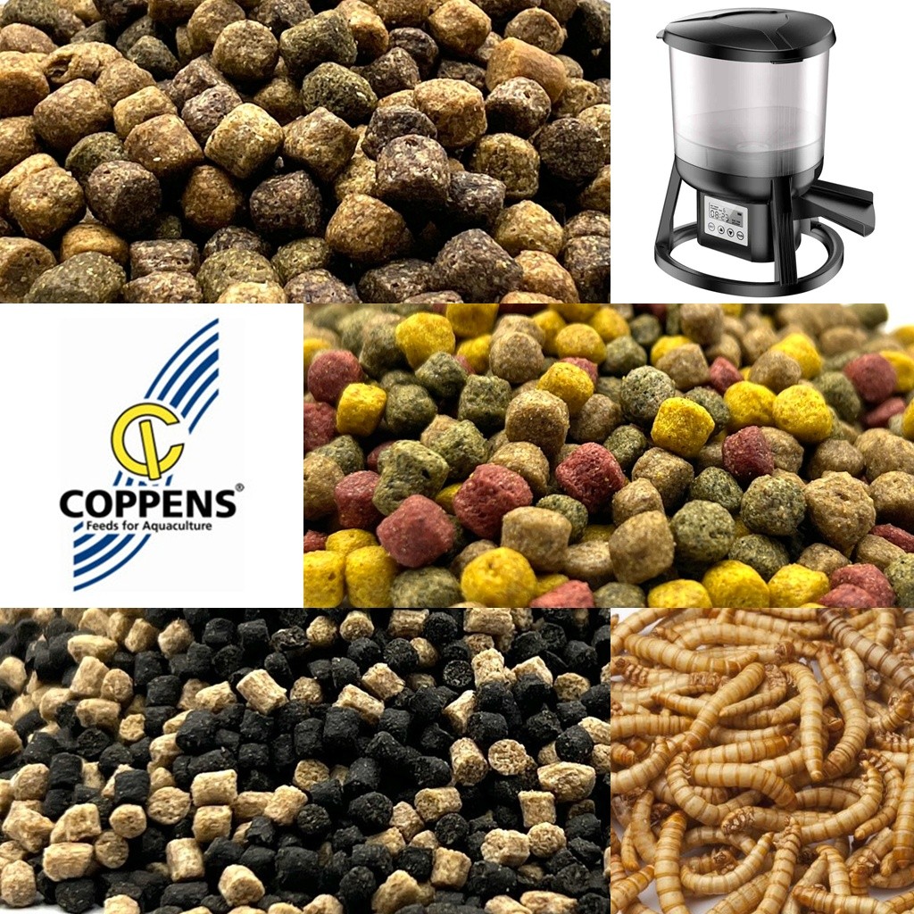 Haltápok tavi haleledelek